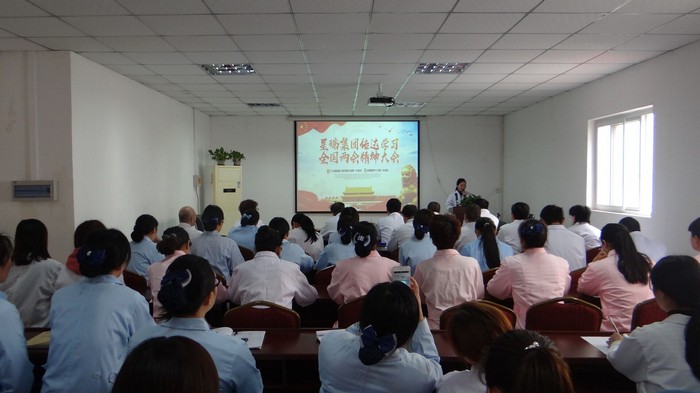 奋进健康新时代 展现服务新作为 ——星瑞集团传达学习2018年全国“两会”精神电视电话会议举行(图14)