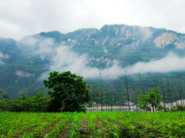 星瑞旅游公司首发旅游团顺利启程(图1)